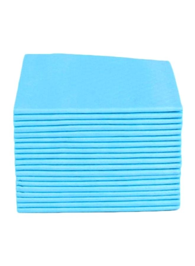 طقم بساط لتدريب الحيوانات الأليفة على التبول مكون من 20 قطعة أزرق فاتح - Image 1